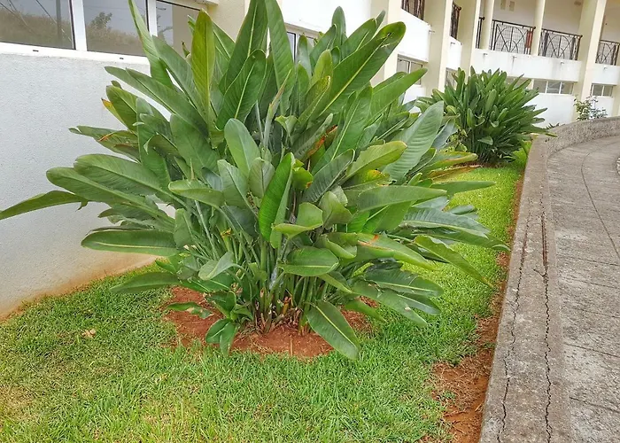 Falesia Apartment - Reis Magos Beach