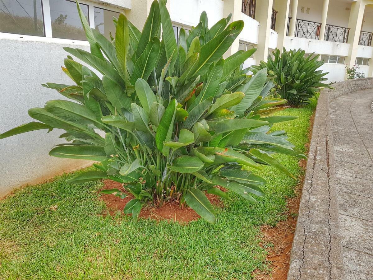 Appartement Falesia - Reis Magos *