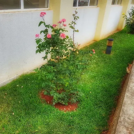 Falesia Apartment - Reis Magos Beach Canico  Exterior photo