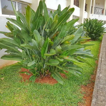 Falesia Apartment - Reis Magos Beach Canico  Exterior photo