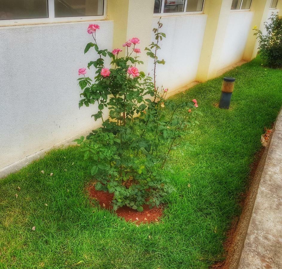Appartement Falesia - Reis Magos